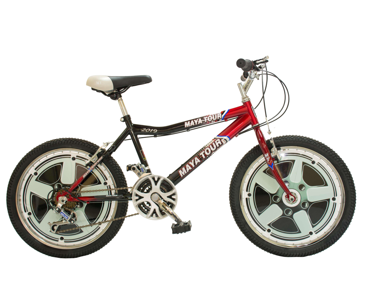 FORMULA-1-ROJA-CON-NEGRO Bicicleta Formula 1 No.20 Color Negro Y Rojo - Imagen 1