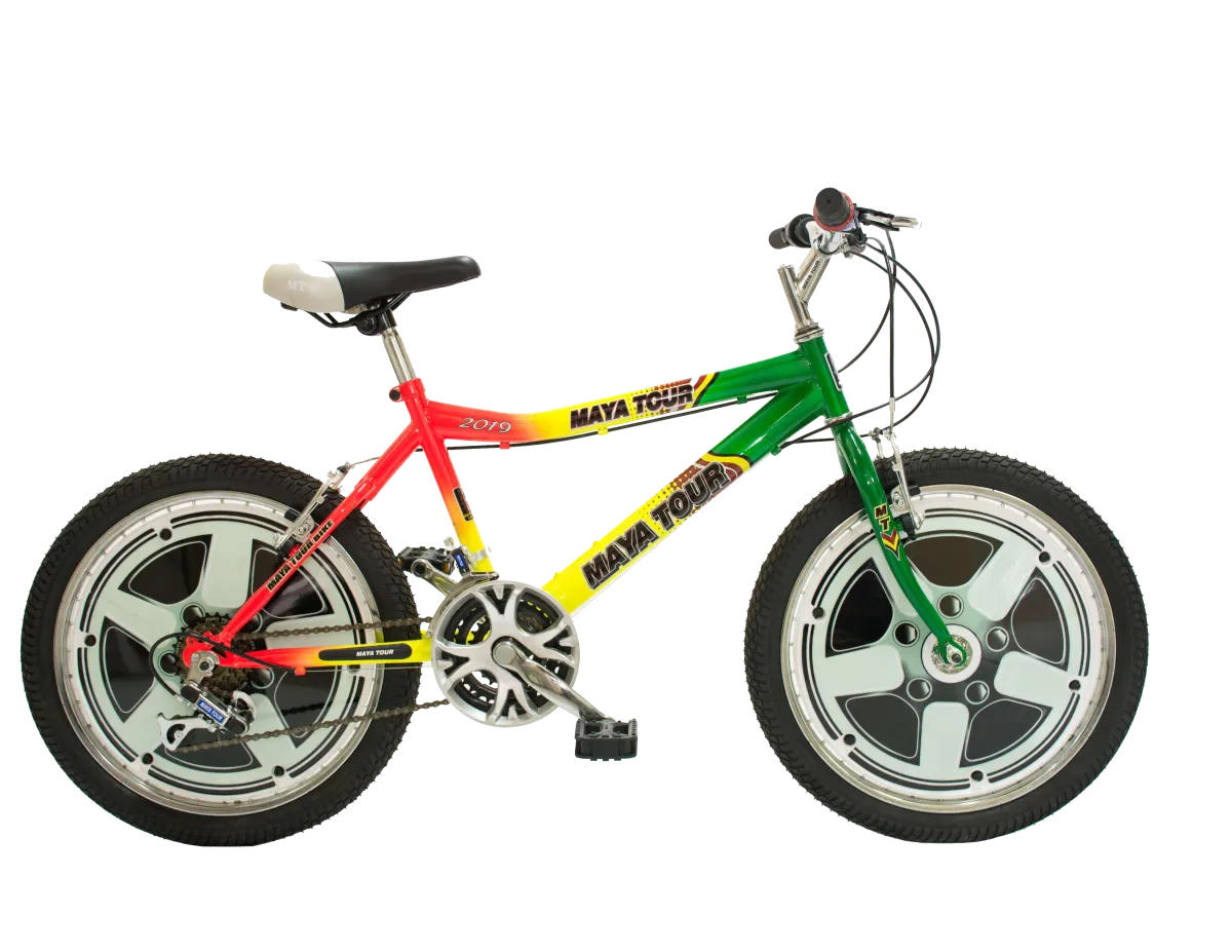 Bicicleta Formula 1 No.20 Tricolor - Imagen 1