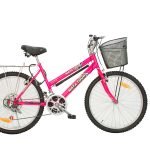 Bicicleta Montañesa Equipada No.24 – Maya Tour