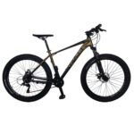 bicicleta-rali-color-dorado