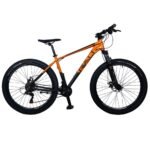 bicicleta-rali-color-naranja