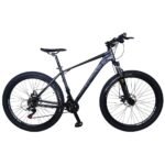 bicicleta-rali-color-verde