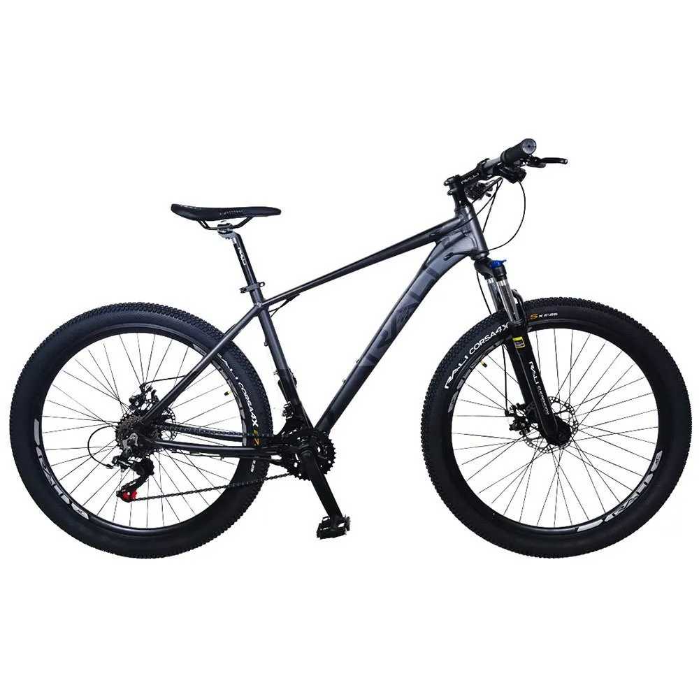 bicicleta-rali-color-verde