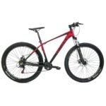 bicicleta rali
