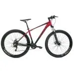bicicleta rali