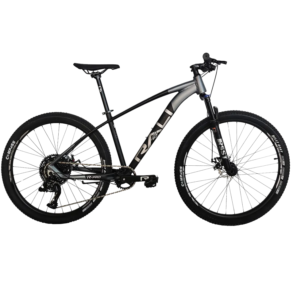 bicicleta-rali
