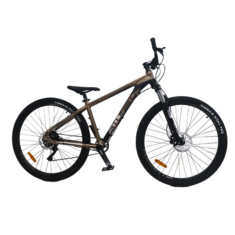 Bicicleta D'Route Neptune