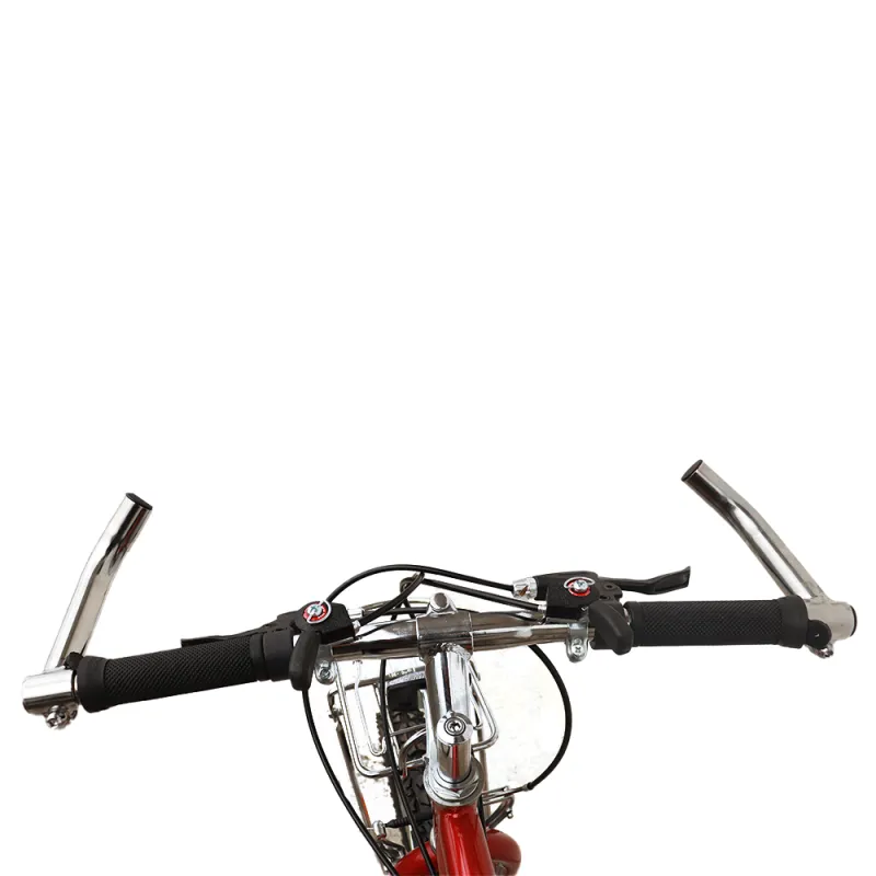 Bicicleta Maya Tour No. 20