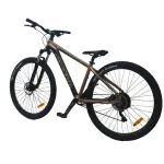 Bicicleta D'Route Neptune