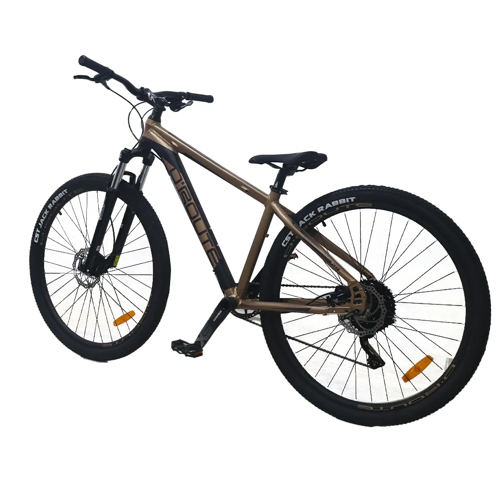 Bicicleta D'Route Neptune