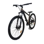 Bicicleta D'Route Neptune