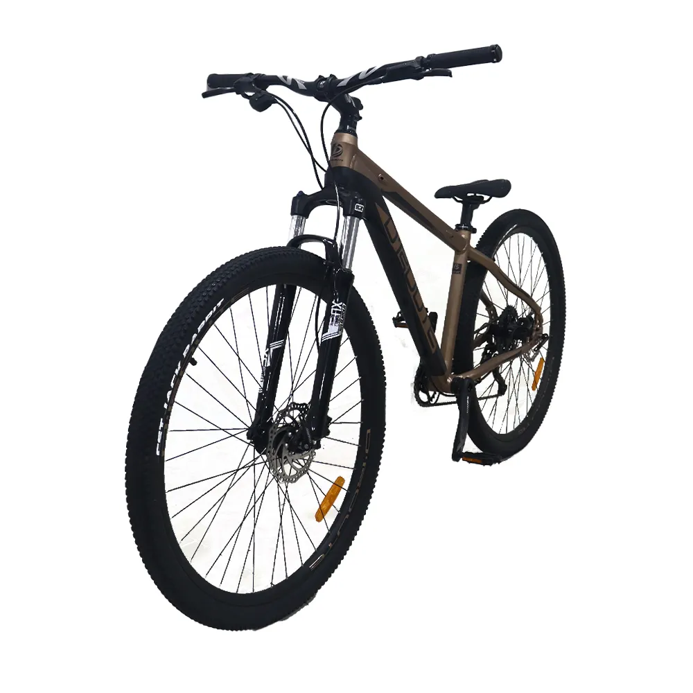 Bicicleta D'Route Neptune