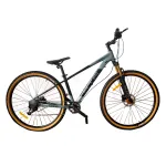 Bicicleta KTR Lisboa