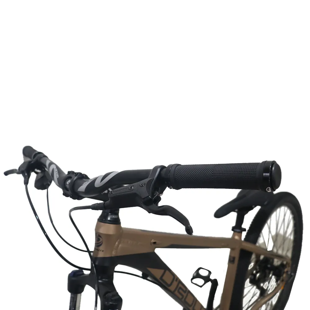 Bicicleta D'Route Neptune