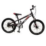 Bicicleta KTR De Niño Rin 20