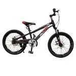 Bicicleta KTR De Niño Rin 20