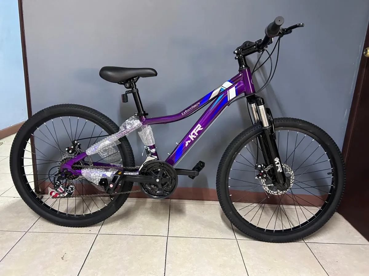 Bicicleta KTR Estocolmov Rin #24 - Imagen 1