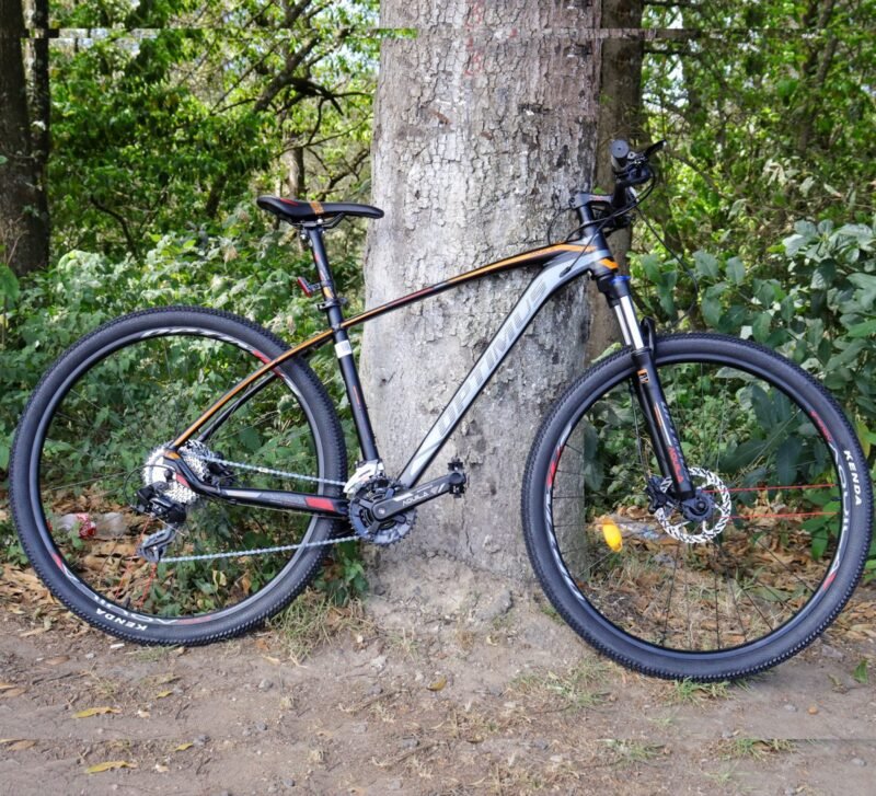 bicicleta-optimus-rin-29