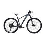 adv-ii-negro-gris