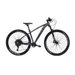 adv-ii-negro-gris